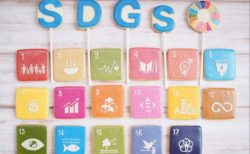 メディア掲載・SDGsヴィーガンケーキが朝日新聞、ESSEなどに掲載されました。